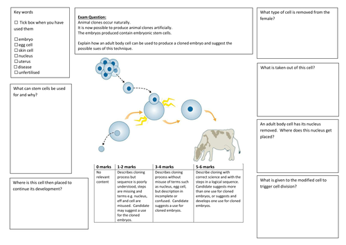 QWC Writing Frame with picture prompt - Adult Cell Cloning