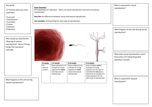 QWC Writing Frame with picture prompt - Sexual Vs Asexual Reproduction