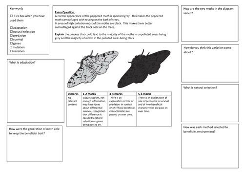 QWC Writing Frame with picture prompt - Peppered Moth