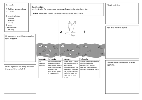 QWC Writing Frame with picture prompt  - Natural Selection