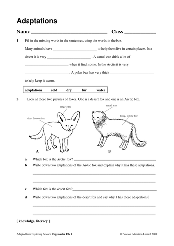 science-adaptation-worksheet-5-grade