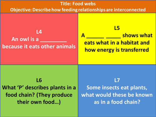 Food Webs