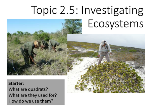 Topic 2.5 Investigating Ecosystems (ESS)
