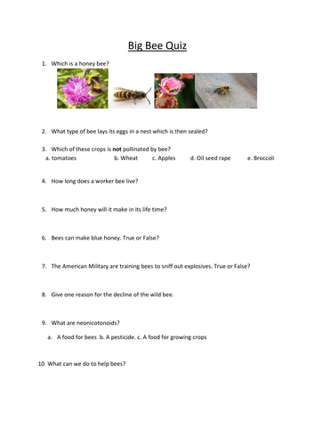 Handling controversial issues: What's happening to our bees?