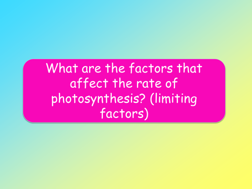 AQA B2.8 - Making the most of photosynthesis lesson