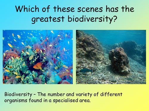 AQA B2.9 - Organisms and their environment