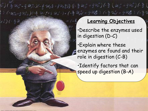 AQA B2.11  - Enzymes in digestion