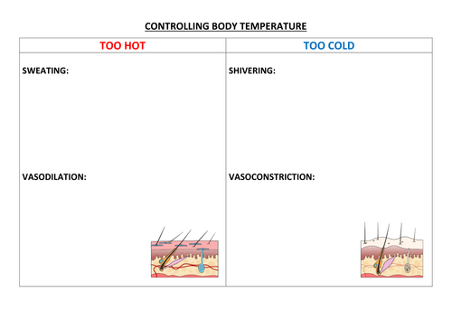 Homeostasis temperature