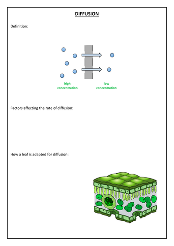 Diffusion and osmosis GCSE