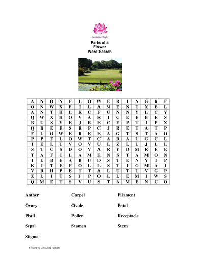 Parts of a Flower Word Search