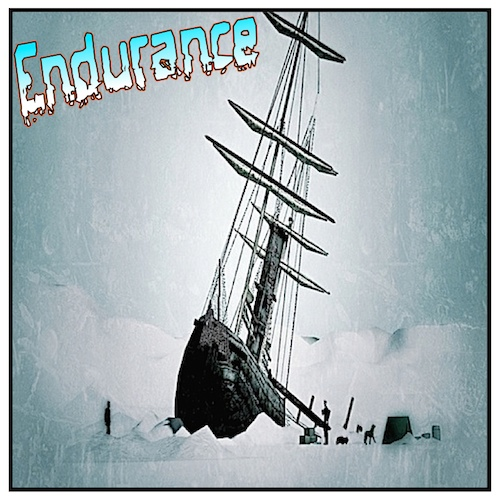 Shackleton and the Endurance - Comic Book ( RL.6.7, CCRA.R.7 )