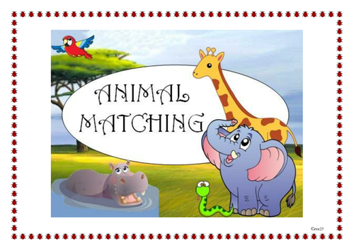 Animal Matching