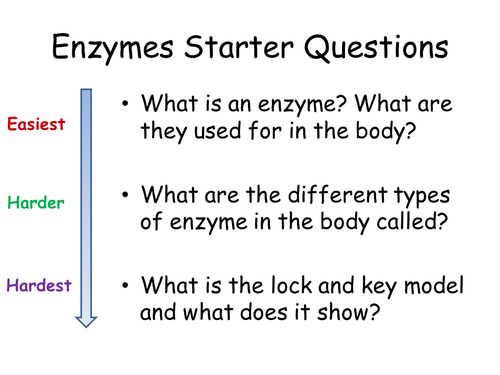 Enzymes Tables of Results and Graphs APP