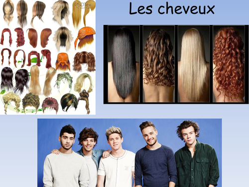 les-cheveux-describing-hair-in-french-teaching-resources