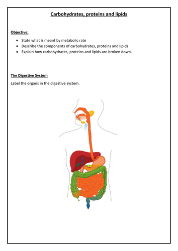 Human digestive enzymes (& food tests) - NEW GCSE by - UK Teaching
