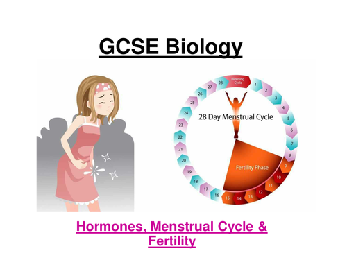 GCSE AQA Biology - Menstrual cycle, hormones & fertility ppt & w/sheets