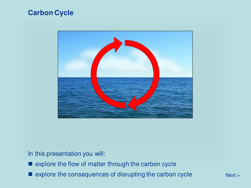 The Carbon Cycle