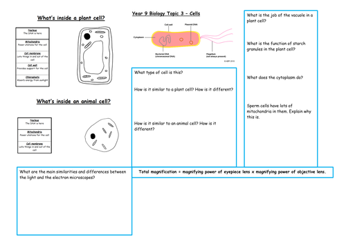 year 9 cells revision by uk teaching resources tes