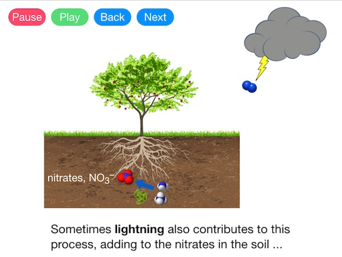 The Nitrogen Cycle (Video)
