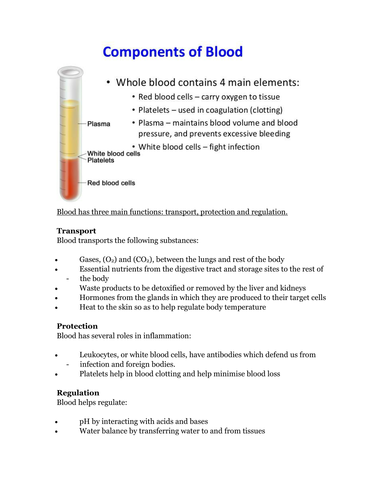 components and functions of blood