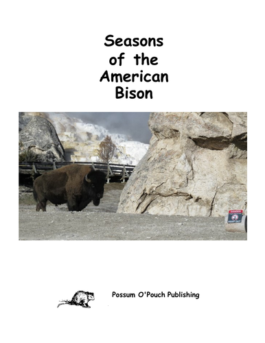 Seasons of the American Bison