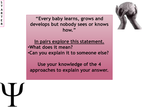 AQA AS Biopsychology - Nervous System