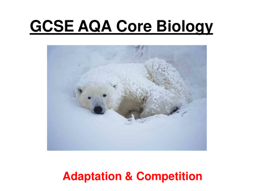 GCSE CORE AQA Biology - Adaptations, competition & Indicator species ppt (13 slides) + w/sheets