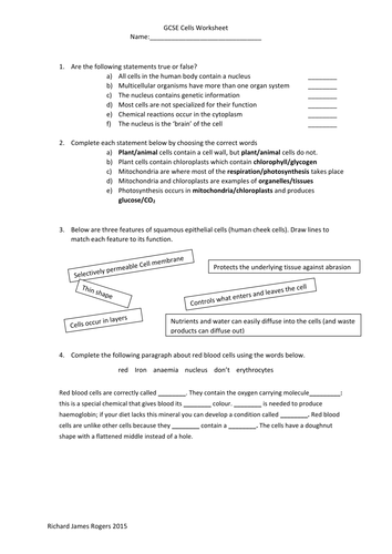 Cells Worksheet with Answers | Teaching Resources