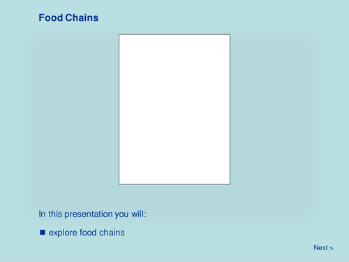 Food Chains