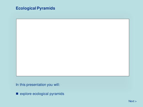 Ecological Pyramids