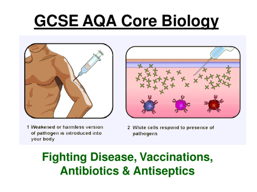 GCSE AQA Core Biology - Pathogens, Fighting Diseases & Antibiotics ppt (17 slides) + w/sheets
