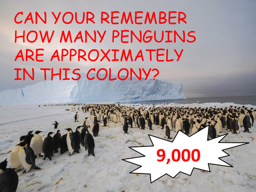The Great Penguin Problem