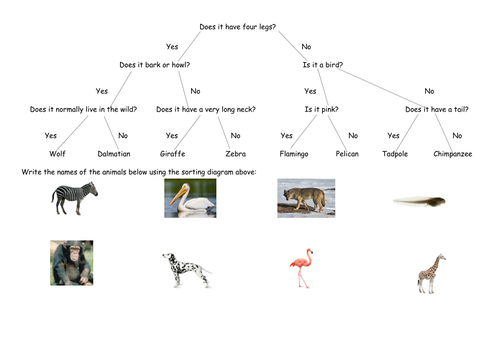 classification animal 5 grade worksheet megaalex66 Branch Diagrams (full lesson) Sorting by Using