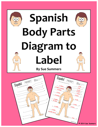 Spanish Body Parts Diagram To Label With 20 Body Parts Teaching Resources