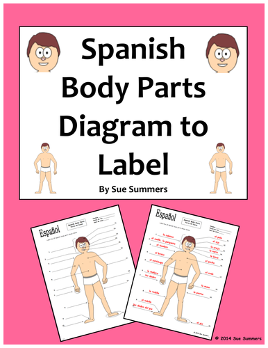 Spanish Body Parts Diagram to Label with 20 Body Parts