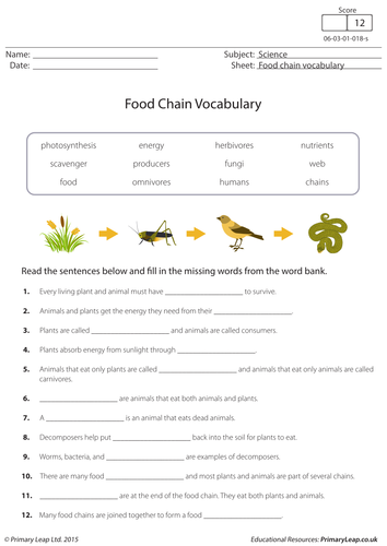 Food Chain Vocabulary