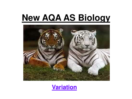 New OCR AS Biology - Variation, SD & Spearman's Rank  22 slide ppt