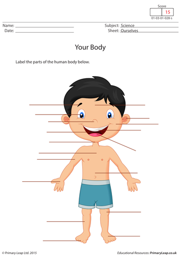 Labelling Parts of the Human Body | Teaching Resources