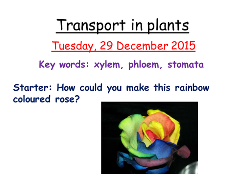 Transport in plants