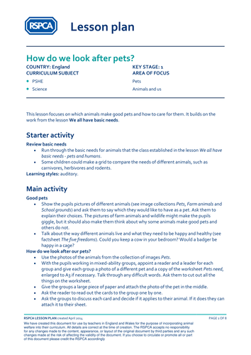 Lesson Plan - Pets - How do we look after pets