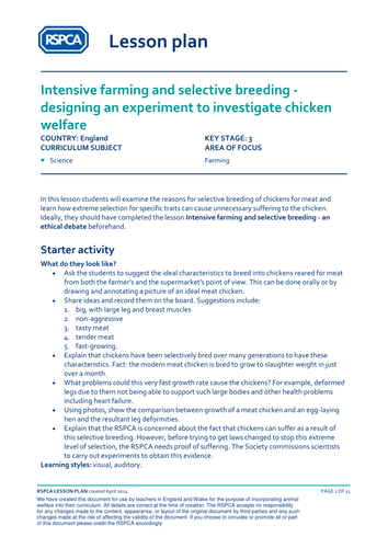 Lesson Plan - Farm animals - Designing an experiment to investigate chicken welfare