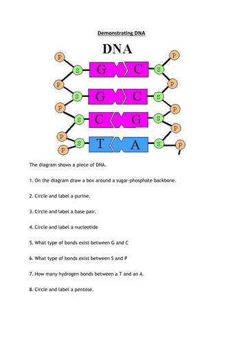 Higher Human Biology (SQA Revised 2012) Unit 1 Cells Activities ...