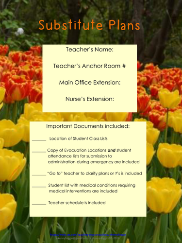 Substitute Plans - Detailed and Meaningful NO PREP 