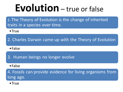 Human Evolution GCSE Biology