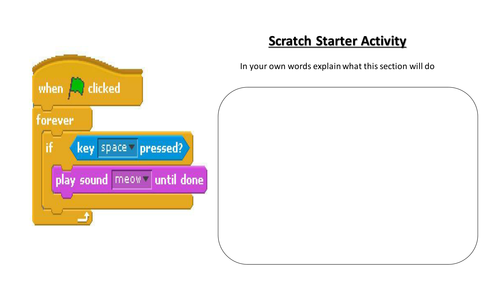 Scratch Starter Activities