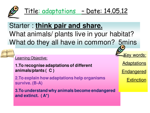 GCSE Adaptation lesson Outstanding