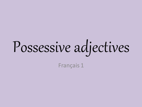 French Possessive Adjectives