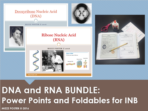 DNA and RNA Bundle: 2 Power points and 2 Graphic Organizer Foldables for Interactive notebooks