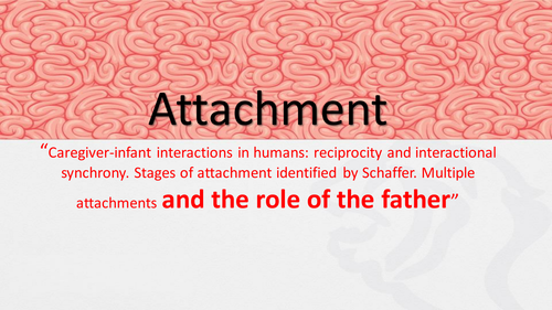 Lesson 3: The Role of the Father.  Attachment (New AQA Specification)