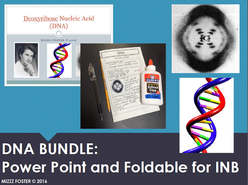 DNA Bundle: Power point with Foldable for Interactive Notebook
